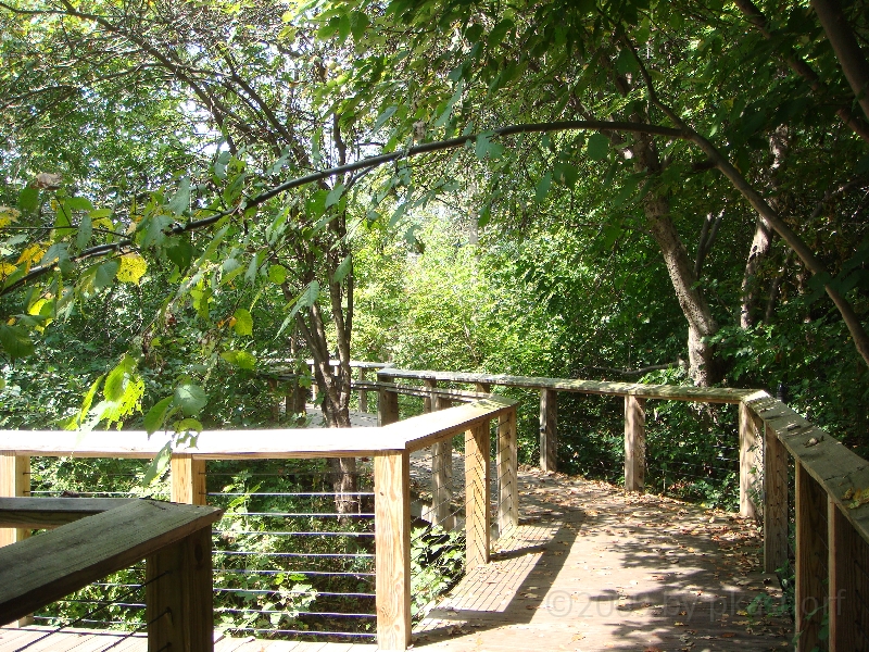 Western Michigan [2009] 445.JPG - Scenes from Frederik Meijer Gardens & Sculpture Park.